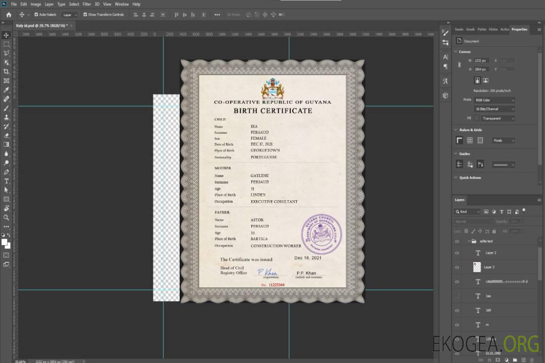Modèle PSD de certificat de naissance de l'état civil de Guyane template